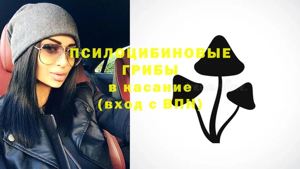a pvp Каменногорск