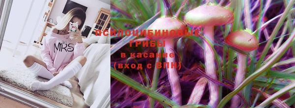a pvp Каменногорск