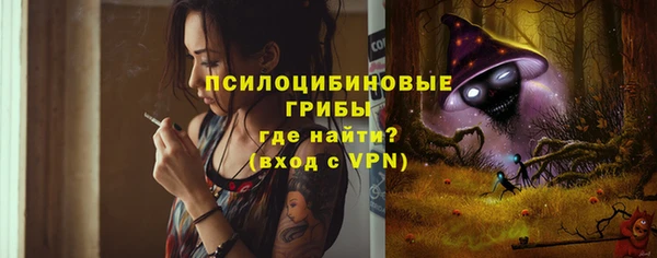 гашик Тутаев