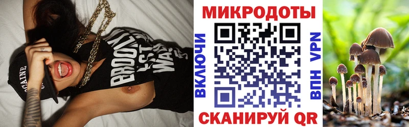 цена   Шацк  Псилоцибиновые грибы Magic Shrooms 